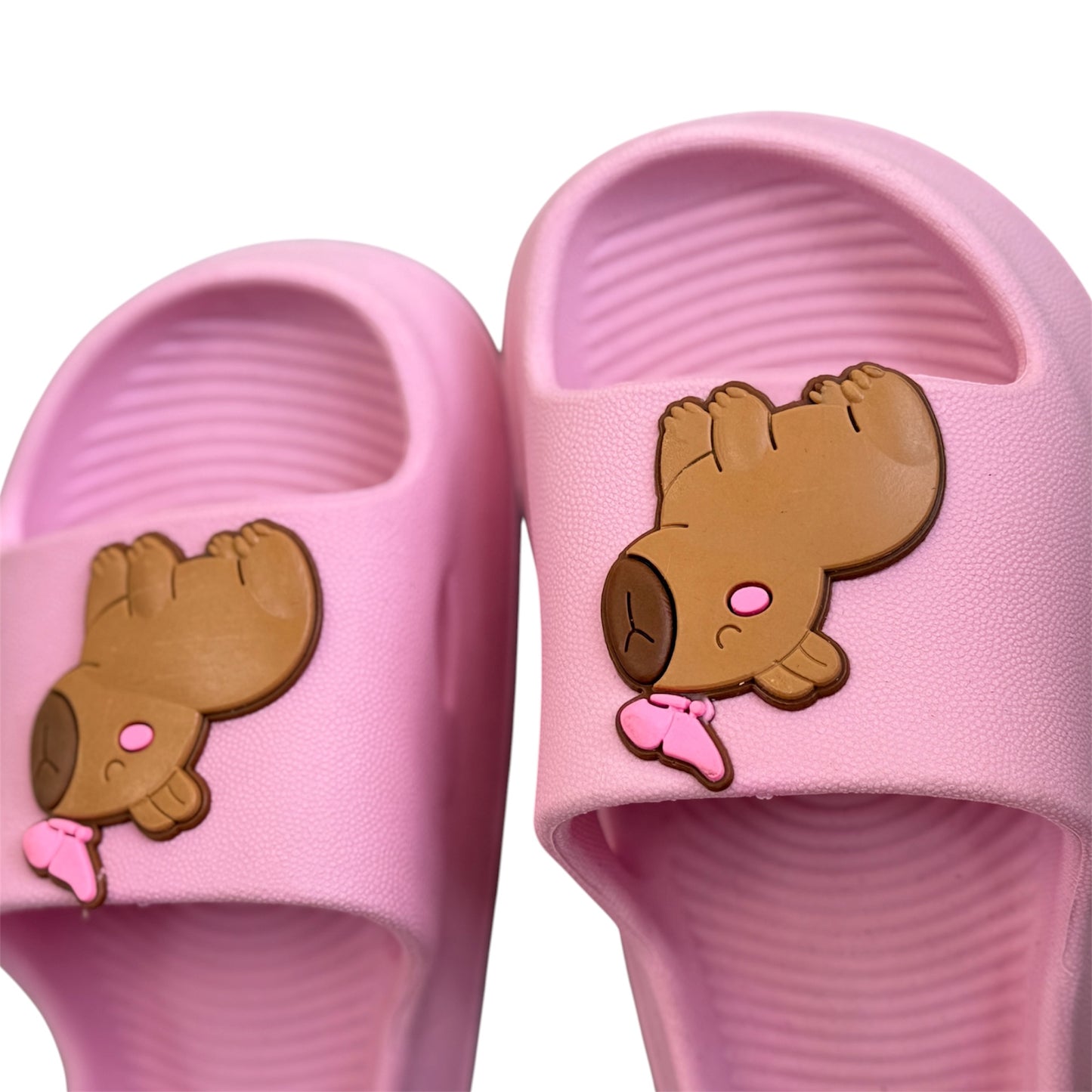 CHINELO NUVEM CAPIVARA ROSA 26/27